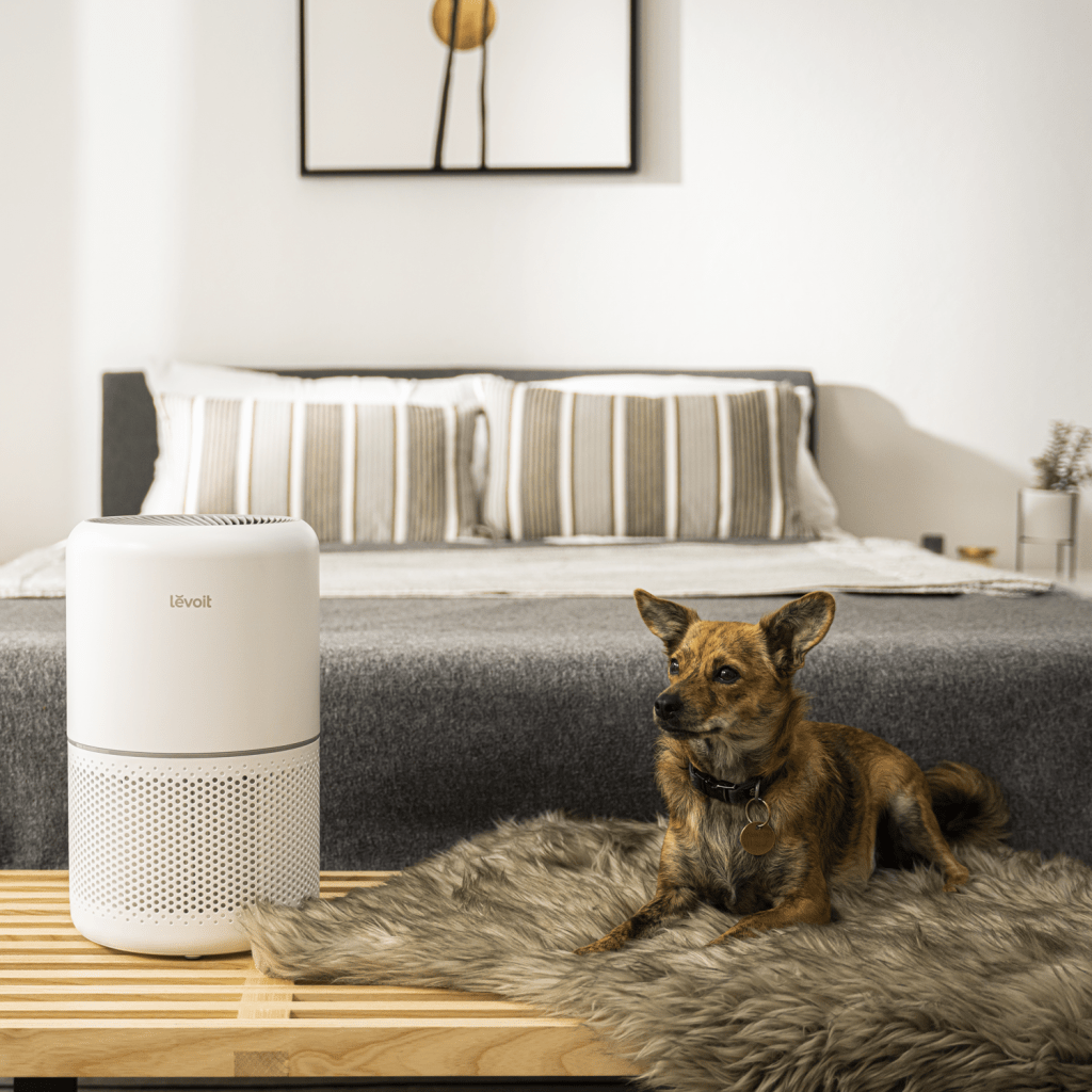 Levoit Core Mini Aromatherapy Air Purifier CoreMini-AAPWH - BrightVivo